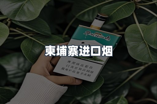 柬埔寨进口烟